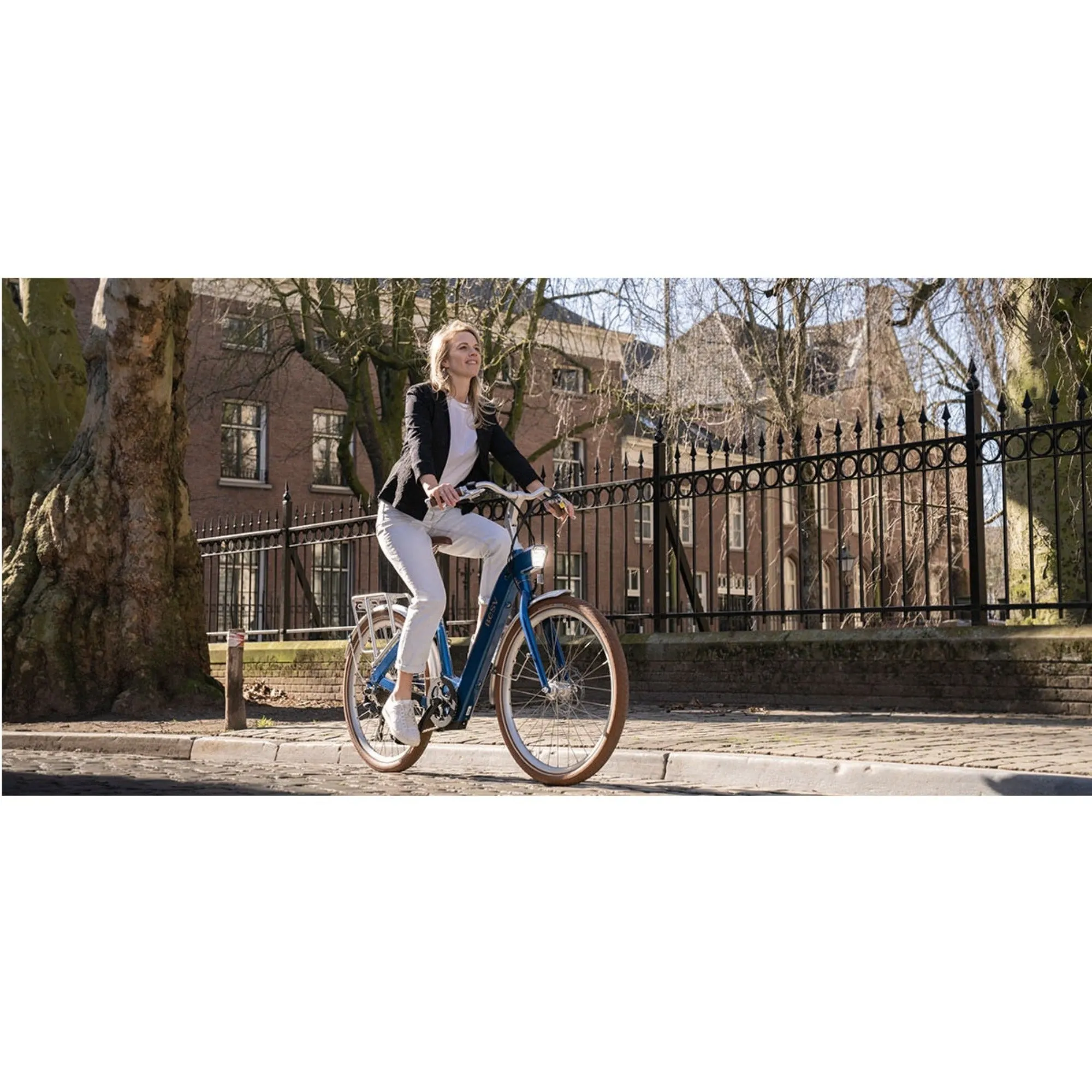 Besv 250W CF1 LINO Electric Bike - Grey