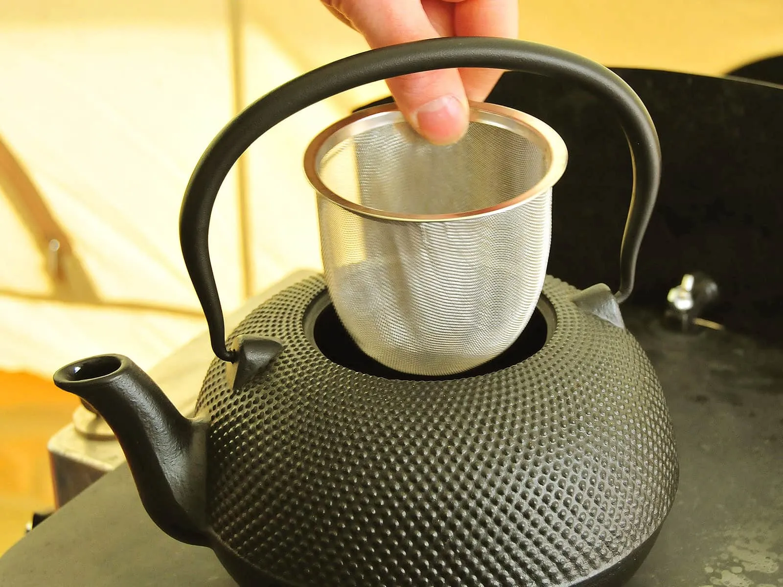 Cast Iron Tea Kettle